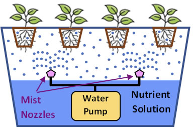 Aeroponics