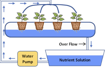 Nutrient Film Technique (N.F.T)