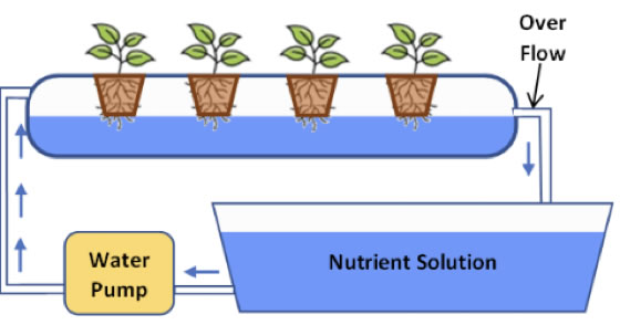 Flood and Drain System